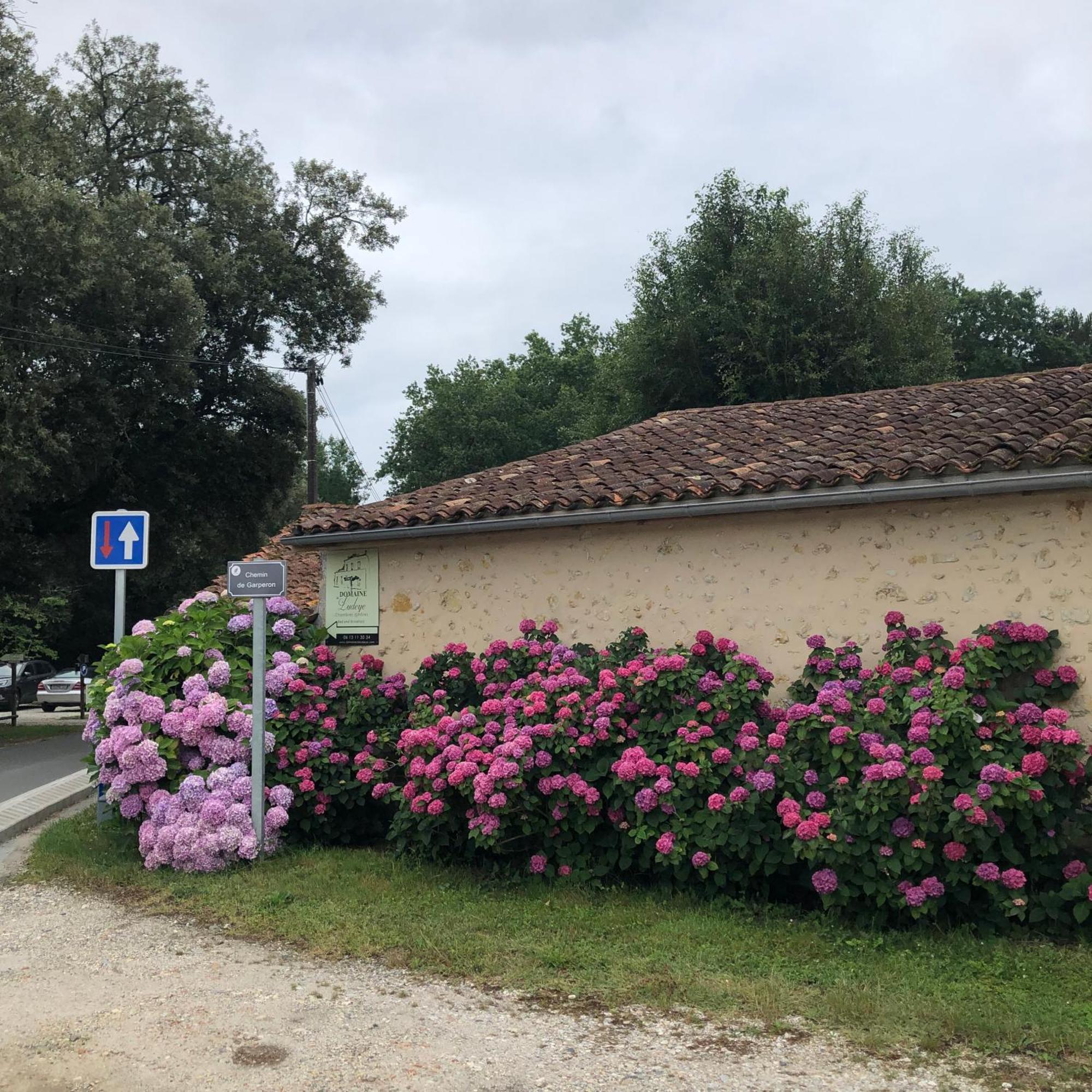 Domaine De Ludeye Hotel Listrac-Medoc Luaran gambar