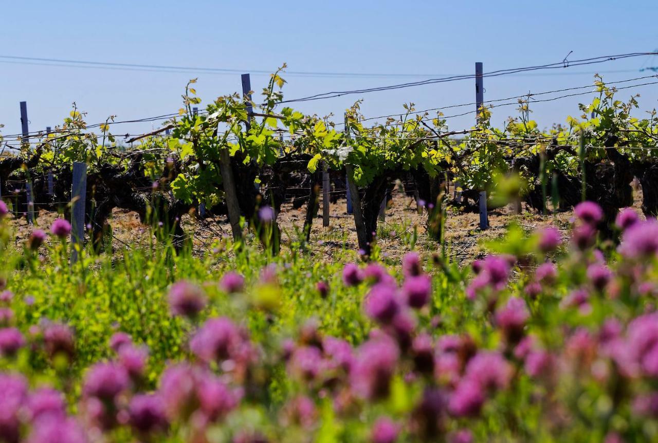 Domaine De Ludeye Hotel Listrac-Medoc Luaran gambar