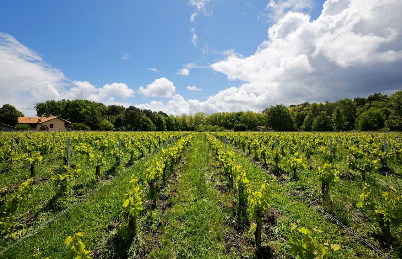 Domaine De Ludeye Hotel Listrac-Medoc Luaran gambar